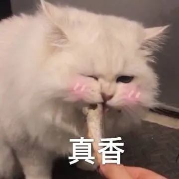 表情包干脆装死好了睁一只眼闭一只眼