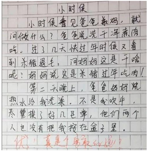 小学生0分作文我好无聊火了从到看到尾网友说应该给满分