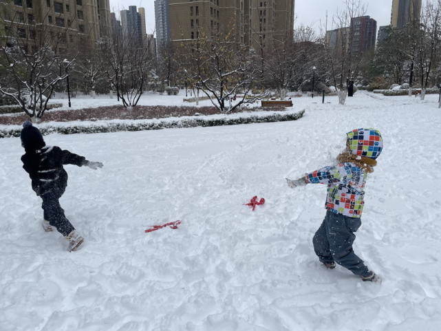 "出来玩雪啦"11月7日,沈阳迎来入冬以来第一场雪.