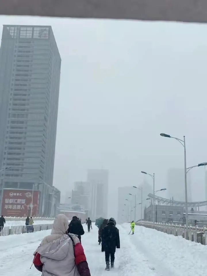 高速封闭,学校停课!辽宁遭遇大暴雪,鞍山积雪近半米,一农贸市场被压塌