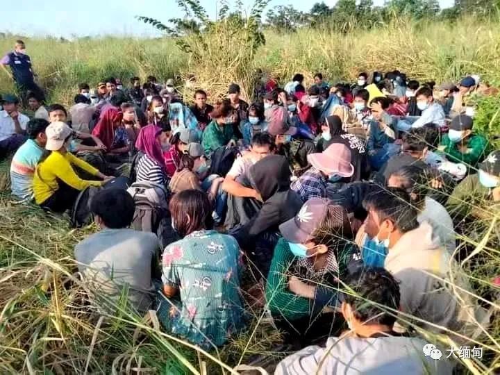 交给蛇头1.5-2万泰铢,123名缅甸人偷渡出境后被边防军