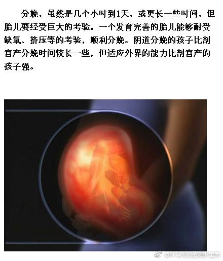 9张图详解胎儿在你的子宫内发育全过程