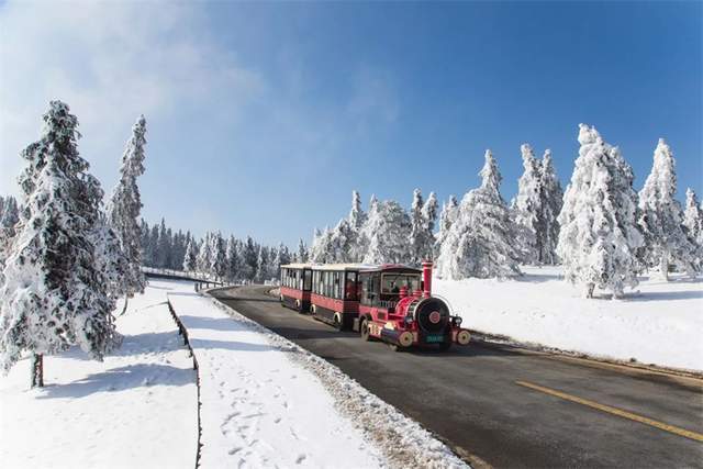 已立冬,你期盼的仙女山雪景正在赶来的路上