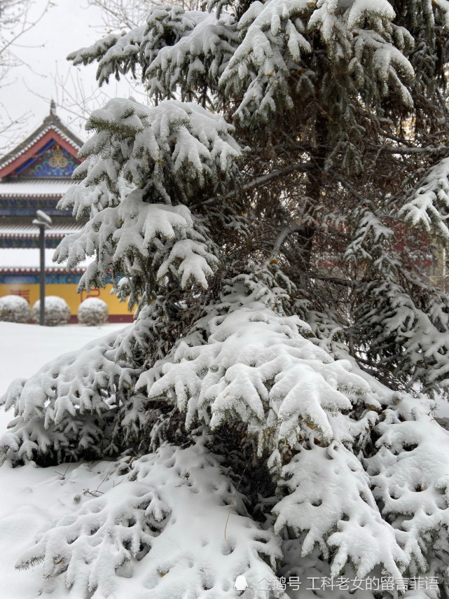 沈阳:初雪即暴雪