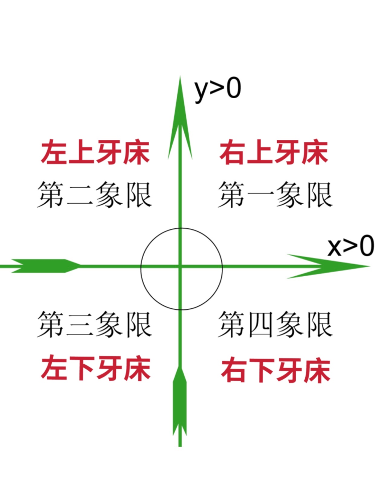 我突然悟到了,现代口腔医学的牙齿定位标记方法和现代数学的四个象限