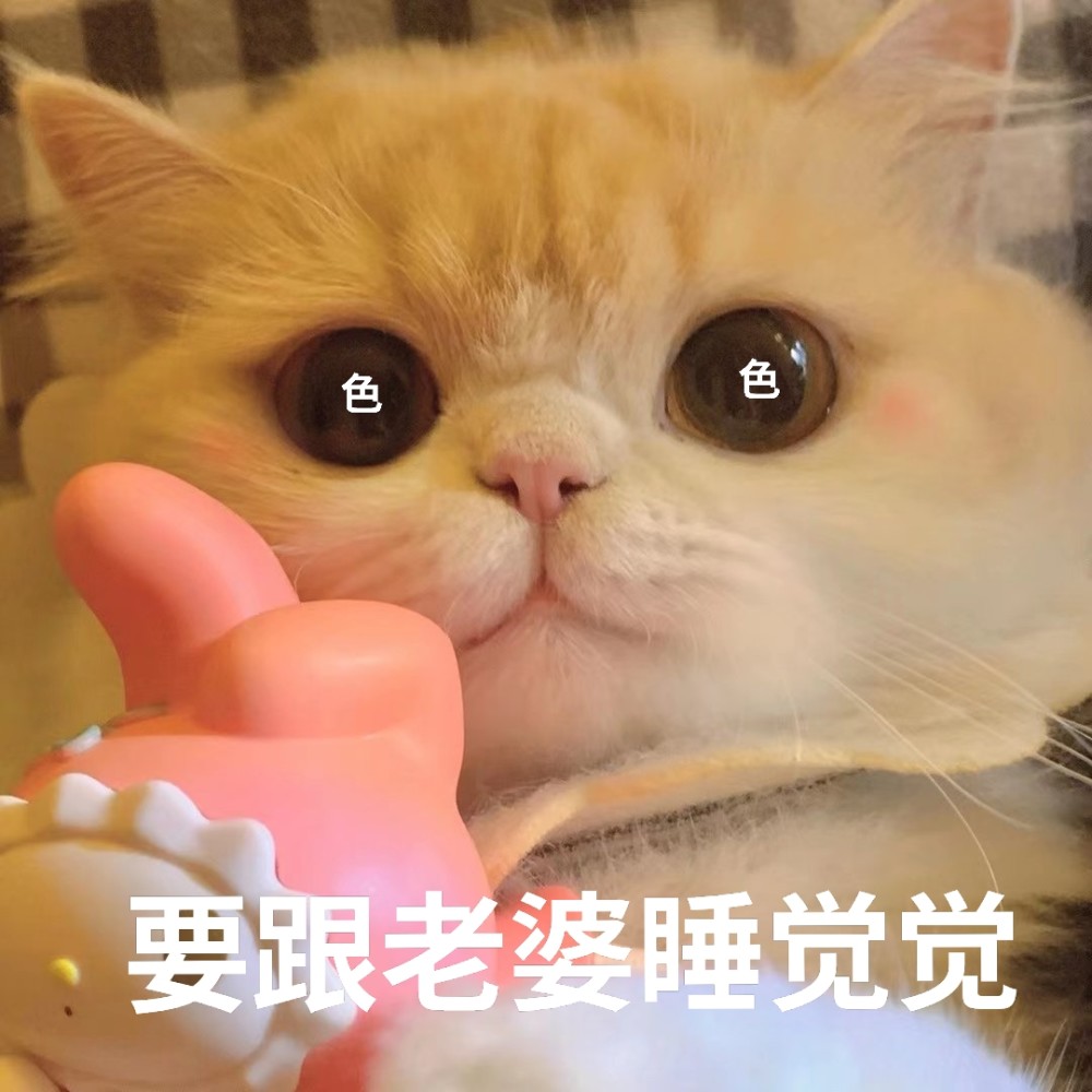 老婆表情包4给老婆买奶茶喝