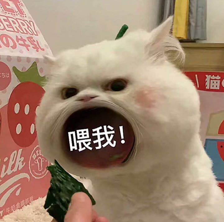 妈宝表情包