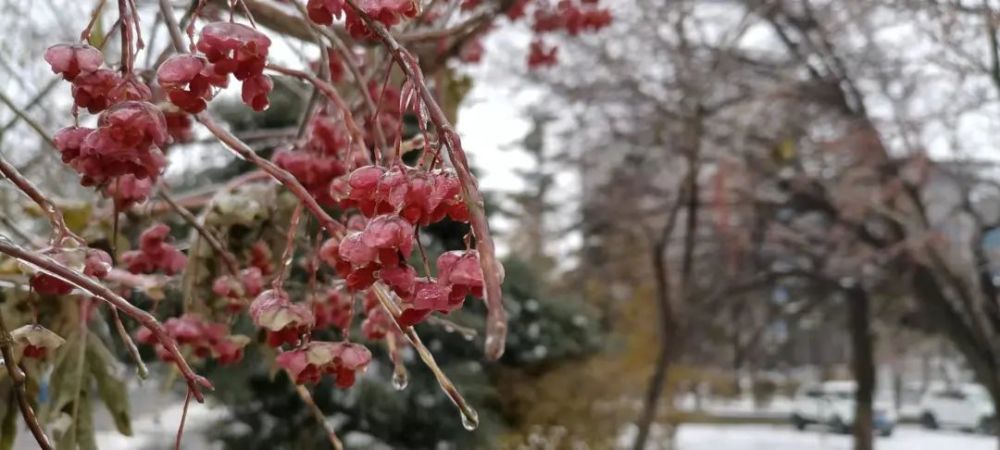 今天西部暴风雪持续中东部雨雪转换冻雨对出行不利