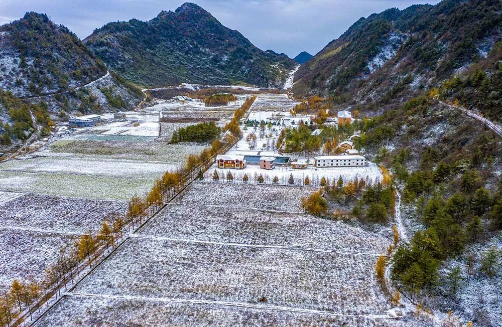 美景|重庆巫溪红池坝绝美雪景上线