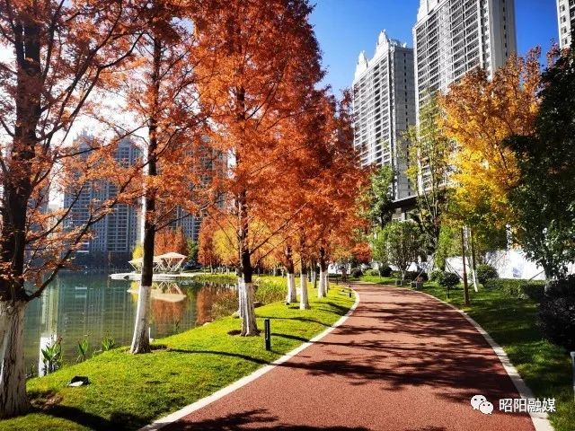 昭通乌蒙水乡公园枫景迷人