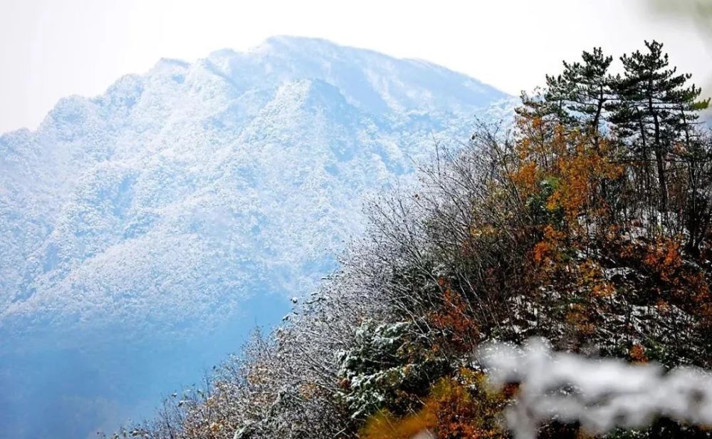 初雪到货汉中这里雪景太赞了你不来看看吗