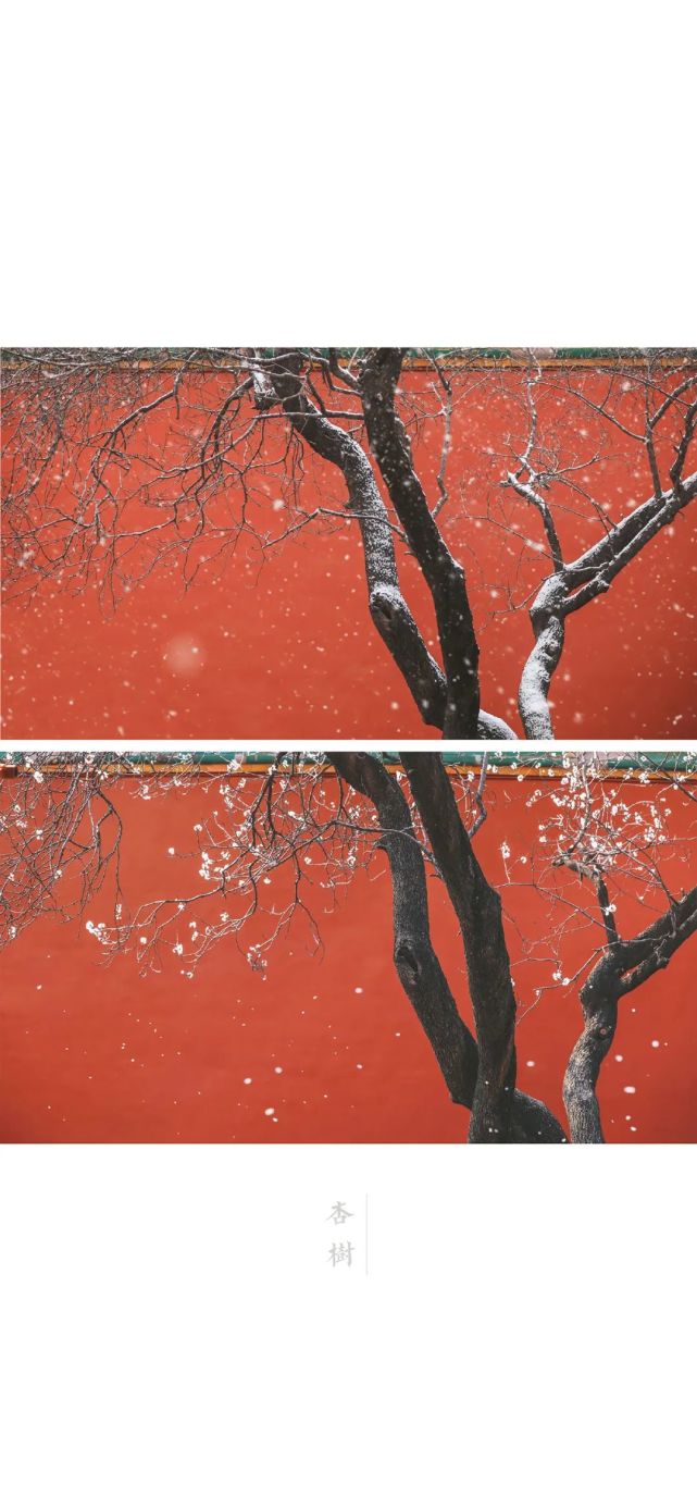 壁纸|雪景故宫
