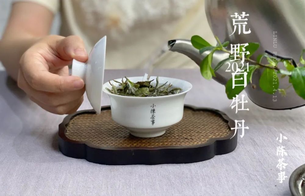 无论白茶岩茶红茶闻起来有香气但喝起来不香的茶别喝了