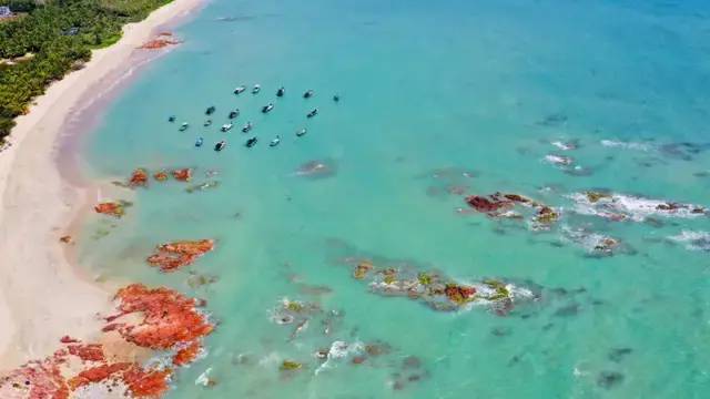 冬季来海南看海带你深度玩转宝藏海岛