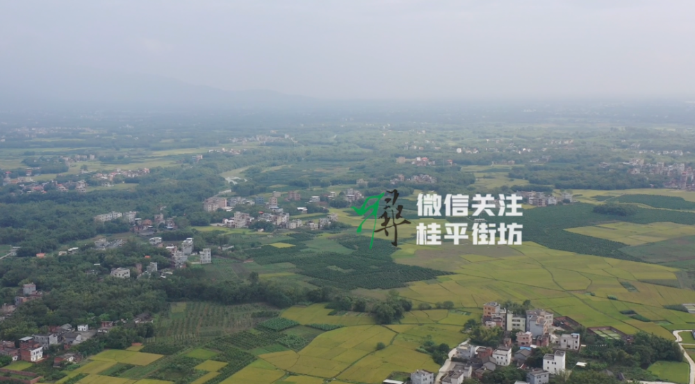 睇睇经过桂平这条铁路,桂平北站就在这条村这个屯!