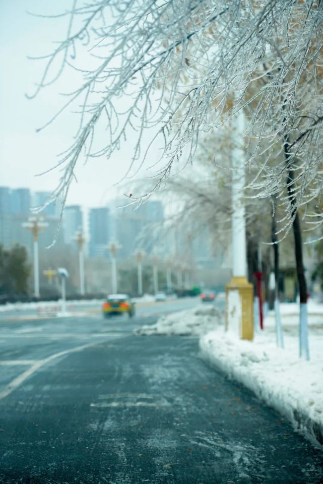 哈尔滨也迎来了她的第一场雪伴随着冷风冷雨冬,已翩翩而至深秋的浓郁