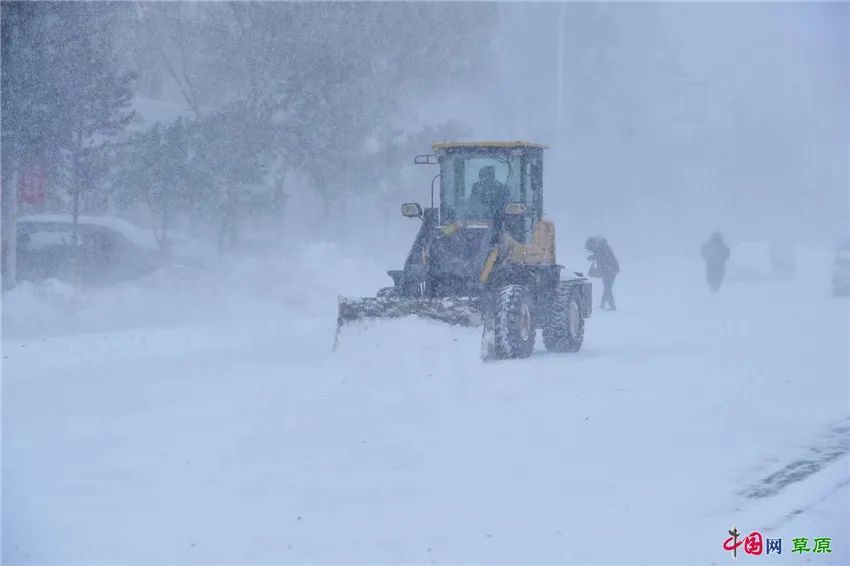 现场直击|内蒙古通辽遇特大暴雪,战风斗雪的通辽人