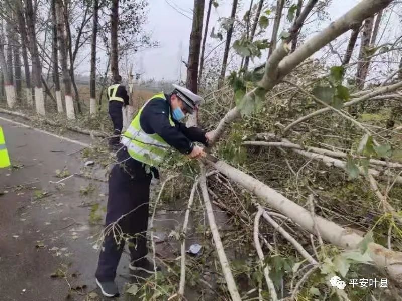 平顶山公安积极应对大风恶劣天气