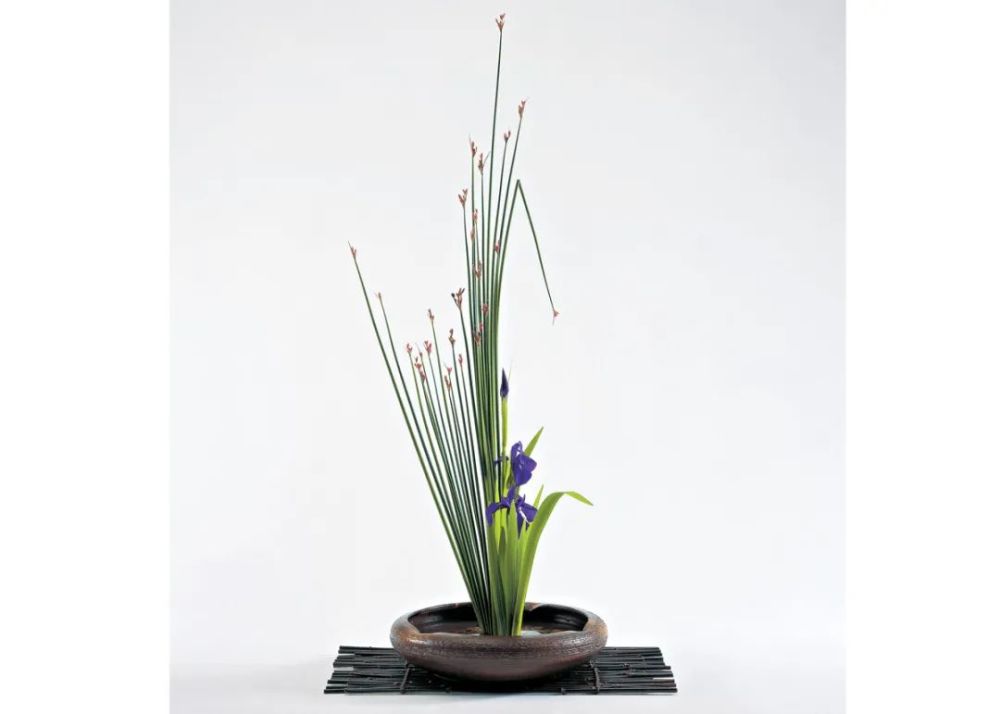 插花佐藤正藏,池边直树然而,日本插花,作为几个世纪前的寺庙祭品,它
