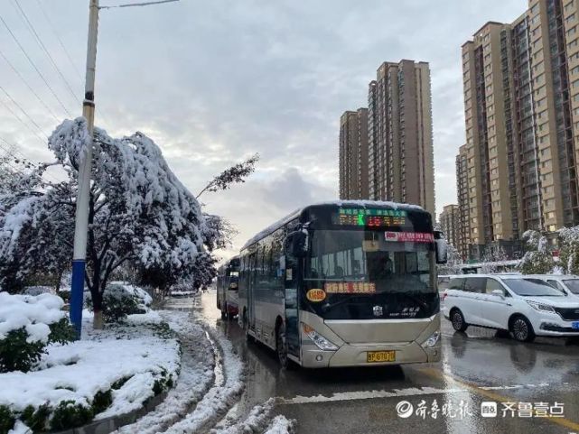 聊城公交车免费坐|公交车|聊城|聊城交运集团