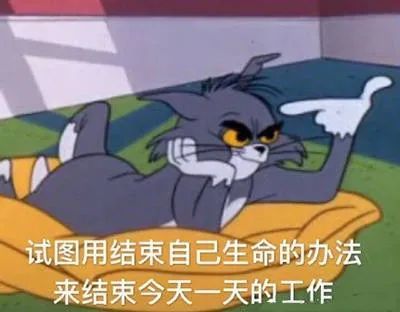 猫和老鼠表情包