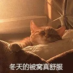 抖音热门表情包|等我 转只弯就到