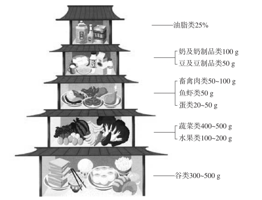 图2-4-3 我国居民平衡膳食宝塔(旧版)(4)观察平衡膳食宝塔,营养专家