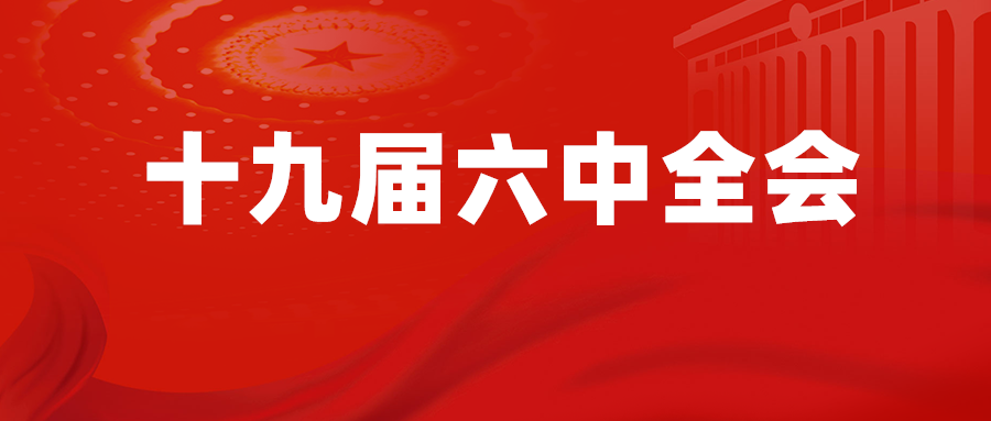 建设这个鲜明特征和政治优势—论学习贯彻党的十九届六中全会精神