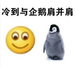 专题表情包有人拼羽绒服吗冬天我穿其他三个季节你们穿