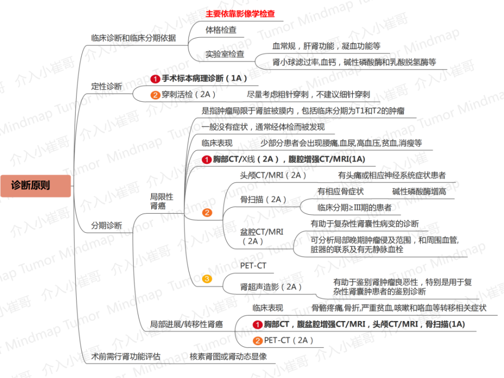 04病理组织学分类05病理学诊断06临床分类07合并静脉瘤栓mayo clinic