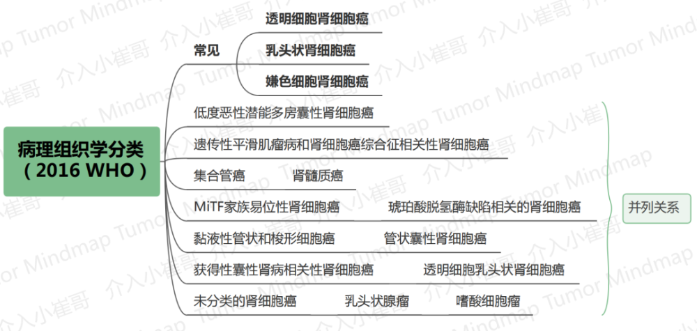 csco2021肿瘤思维导图36期丨肾癌诊疗指南
