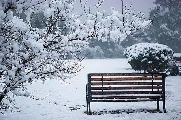 英文版《雪落下的声音》,唯美如诗!你那里下雪了吗?