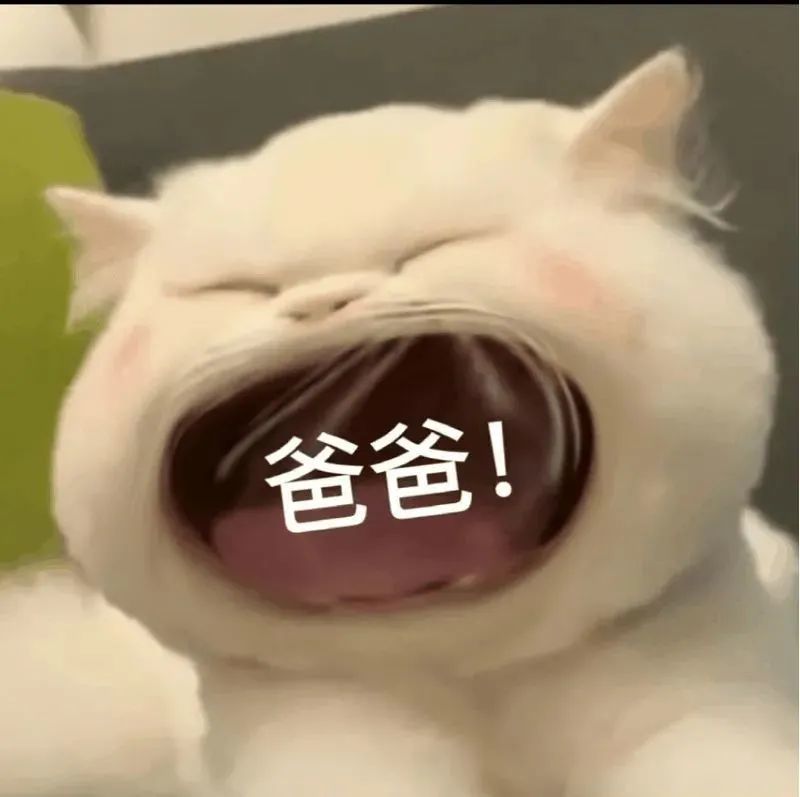 沙雕表情包大嘴猫咪