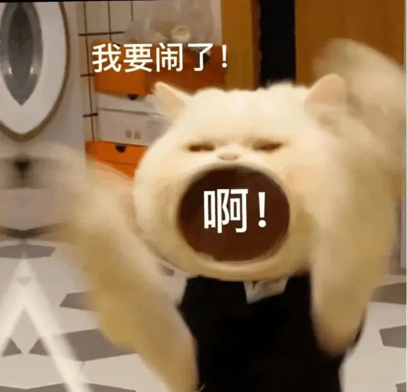 沙雕表情包大嘴猫咪