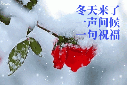 清晨冬日下雪的早安问候祝福语最美清晨早上好表情动态美图