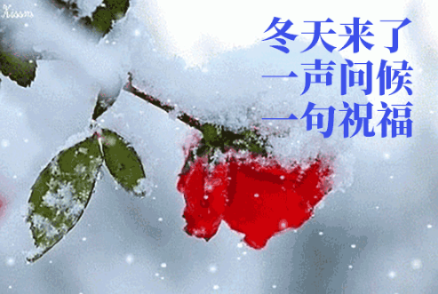 清晨冬日下雪的早安问候祝福语,最美清晨早上好表情动态美图