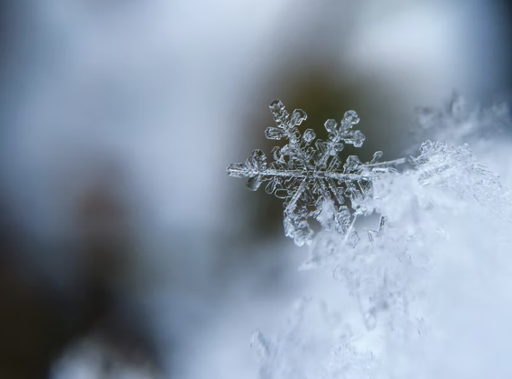 6,我畏惧寒风却偏爱下雪,我害怕喝酒却喜欢喝醉的感觉.