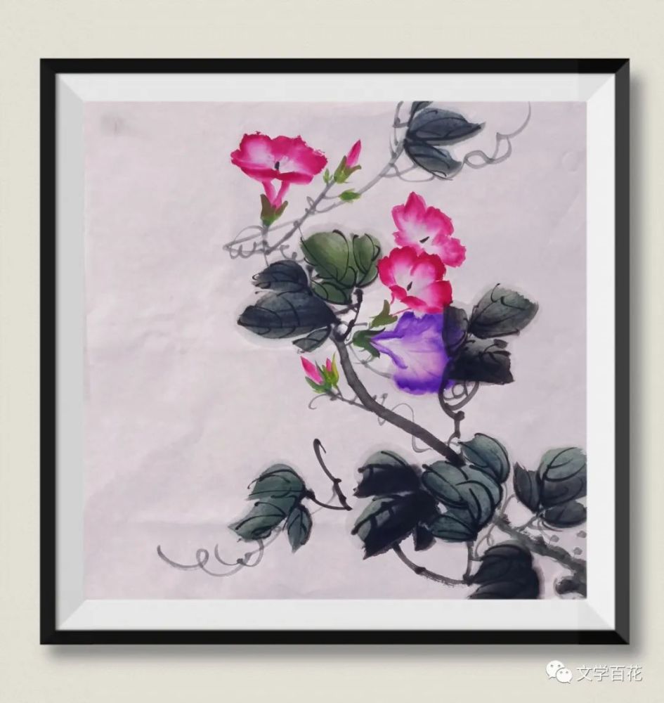 杨旭东|水墨画—牵牛花作品欣赏(2021,5期)