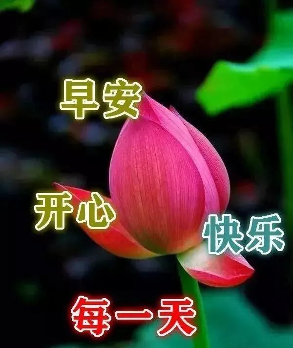 非常漂亮的周二早上好表情图片,早上好问候语.