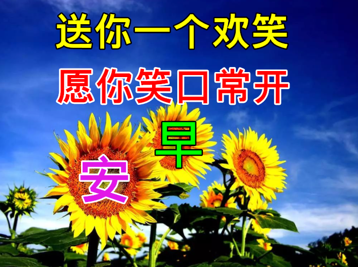 11月10日最新早上好动态表情图片大全,早上好最美的句子!