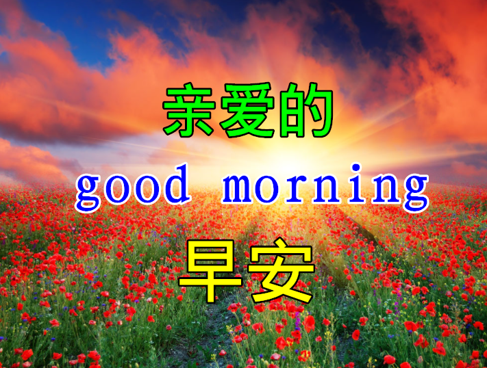 11月11日最漂亮早上好动态表情图片大全早安问候美图大全