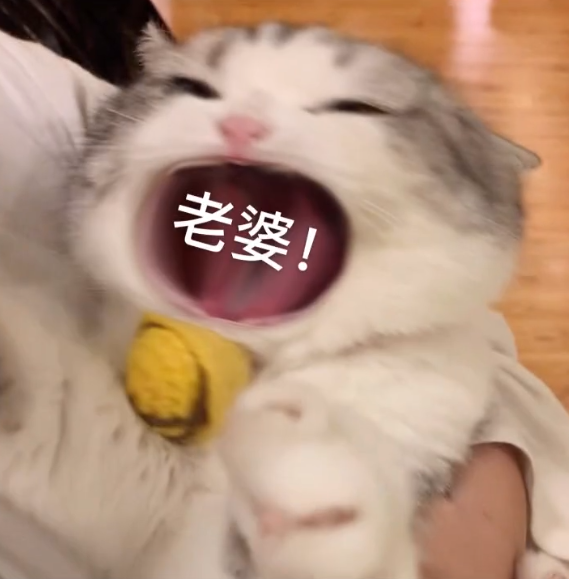 抖音表情包i我已看破红尘四大皆空了