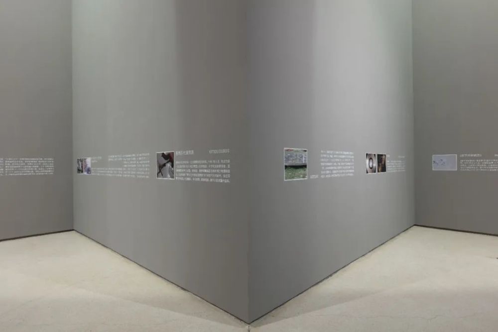 红砖美术馆新展"徐冰:艺术卡门线,一起进入太空艺术现场