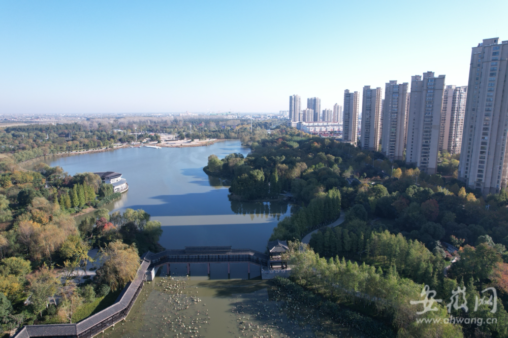天长红草湖湿地公园秋色(航拍组图)
