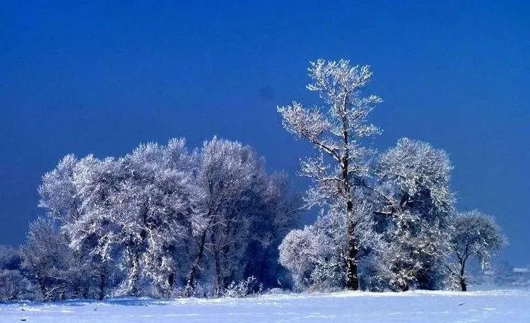 当初雪遇上立冬这10大最美雪景今年要在家里看了吗