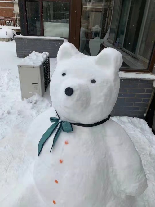 新一届"堆雪人大赛"开赛!你觉得谁获胜了呢?