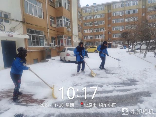 社会实践|青少年学生志愿者以雪为令 闻雪即动