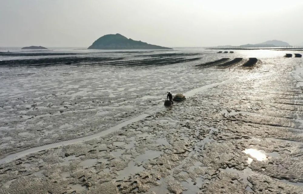 这样的滩涂风景,你看过吗?