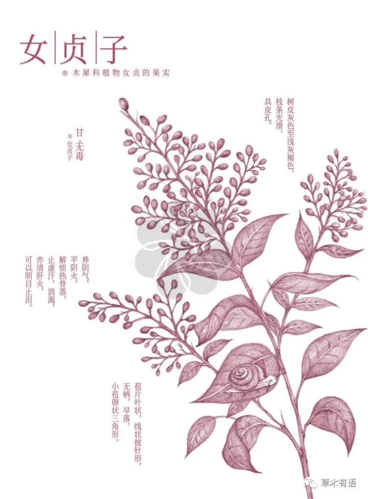 此手绘图片来自网络 免责声明:本文来自腾讯新闻客户端自媒体,不代表
