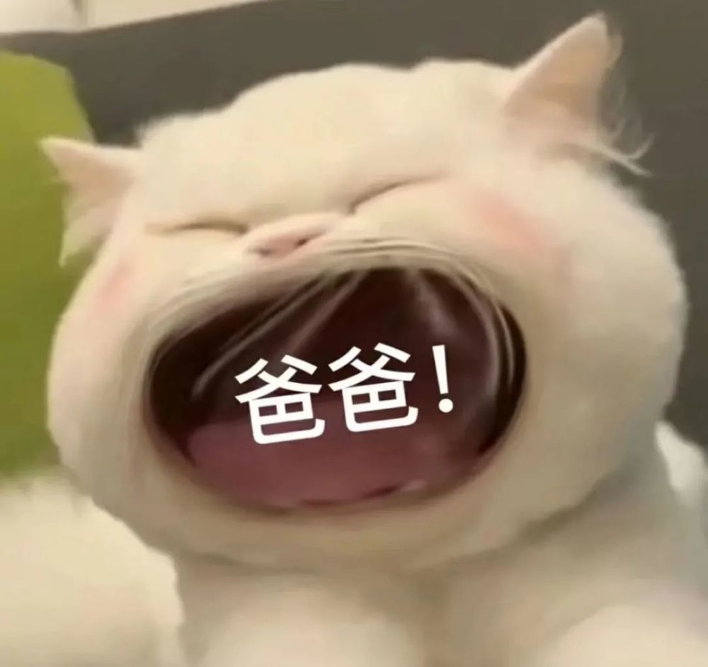 微信沙雕表情包谢谢你是个好人